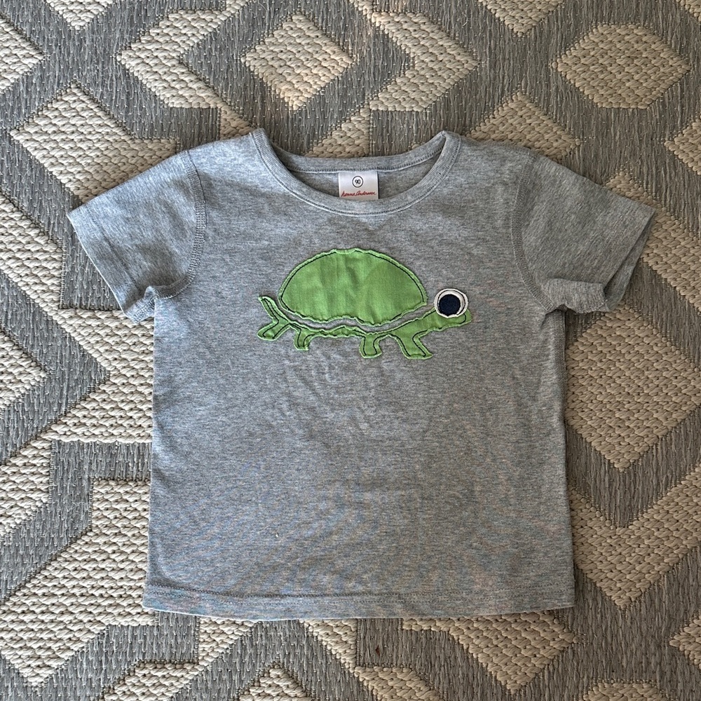 Hanna Andersson Gray Tee with Green Turtle